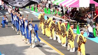 坂戸楽天　in　浦和よさこい  2015