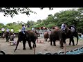 ぞうさんショーエンディング❤️　市原ぞうの国