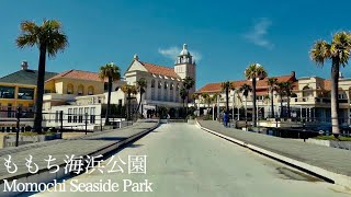 シーサイドももち海浜公園を巡る【福岡】/A trip around  Momochi Seaside Park[Fukuoka,Japan]