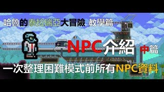 【泰拉瑞亞】NPC介紹 中篇(Terraria 1.3.5)