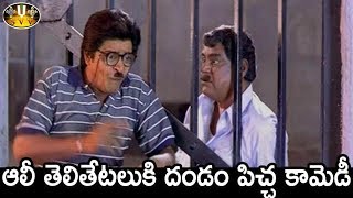 Hilarious Comedy Scene Between Ali & Kota Srinivasa Rao - Tappu Chesi Pappu Koodu Movie Scenes - SVV