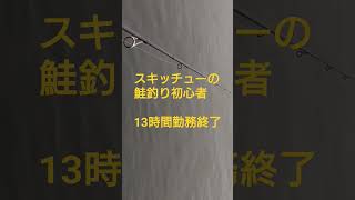 スキッチューの鮭釣り初心者13時間勤務終了   第１７回目