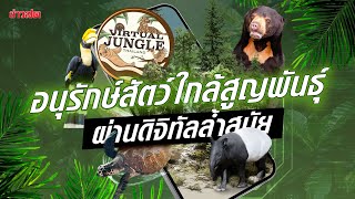 Virtual Jungle Thailand โครงการดิจิทัล ความร่วมมือไทย-สหรัฐ ส่งเสริมอนุรักษ์สัตว์: Khaosod - ข่าวสด