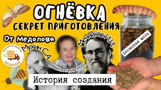 Готовим экстракт ОГНЕВКИ (восковой моли) личинки, ПЖВМ. История, пропорции, концентрация, рецепт