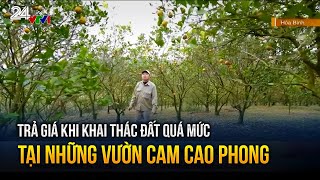 Trả giá khi khai thác đất quá mức tại những vườn cam Cao Phong | VTV24