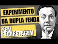 A FÍSICA QUÂNTICA E O EXPERIMENTO DA DUPLA FENDA (Parte 1)