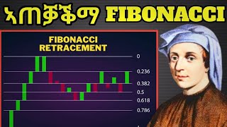 HOW TO USE FIBONACCI #ከመይ ገርና ፊበናቺ ንጥቀመሉ