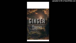 Ginger_-_[_Sah_Boe_REMIX_]_2024