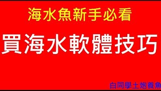 海水魚新手必看【新手買海水軟體技巧】白同學土炮養魚