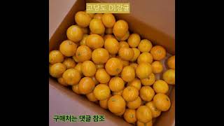 D1 타이벡 감귤 3kg