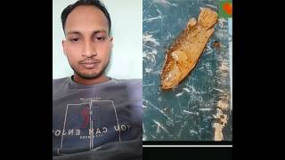 রাখে আল্লাহ মারে কে? এটাই তার বাস্তব প্রমান #allahuakbar #shorts #viral