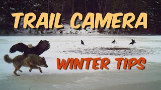 Winter Trail Camera Tips