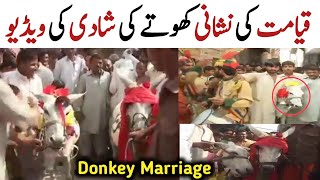 Donkey Marriage In Gujranwala Pakistan | Khoty aur Khoti Ki Shadi | Zeeshan TV