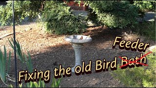 Fixing the old Birdbath