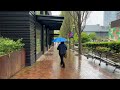 4k bellevue city walk walking in the rain this is bellevue