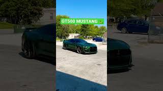 MUSTANG GT500 LOUD IDLE | 4K