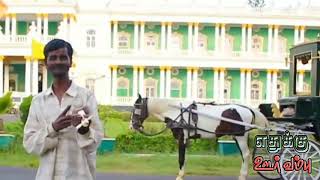 Coconut shell violin music player | magic babu | Mysore palace | dont miss | mysore | mysore palace