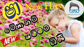 2019 New Hits Sinhala Song  Dj Remix  New Love Song Sinhala 2019