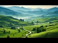 Calming music for nerves 🌿 healing music for the heart and blood vessels, relaxation, music for soul