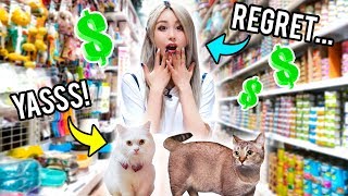 Buying My Cats Everything They Touch!