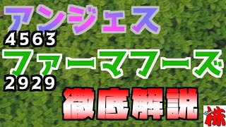 個別銘柄解説します！「4563アンジェス」「2929ファーマフーズ」【投資顧問のアイリンクインベストメント　投資TUBE】