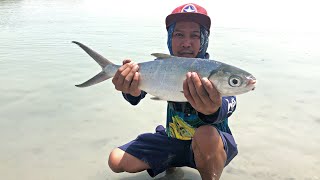 How To Catch Milkfish (Bangus) On Abu Dhabi Shore?