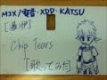 【灆洢】chip tears【歌ってみた】 電音補加