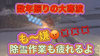 【2025年２月の除雪作業】