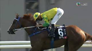 HKJC香港短途錦標 Hong Kong Sprint 一級賽 G1 1200m 2021-12-12 顯心星 SKY FIELD 沙田馬場 Shatin Racecourse