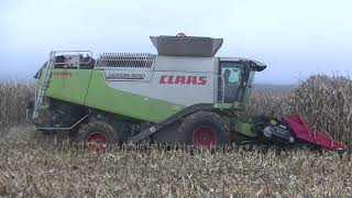 Sklizeň Kukuřice na Zrno 2020 s Claas Lexion 600 + Geringhoff