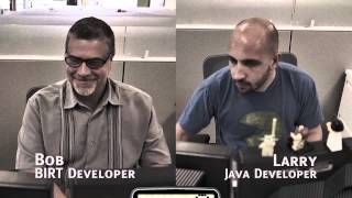 BIRT developer vs Java coder