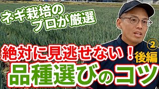 【品種選びは恋人選び】ネギの品種選びのポイント・後編【品種選び時短術】