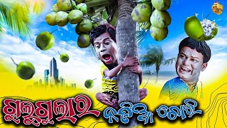 ଗୁଲୁଗୁଲା ର ନଡ଼ିଆ ଚୋରି | Gulugula Comedy | Pragyan | Shankar | Pragyan Shankar Comedy Center