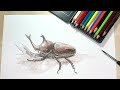 beetle side easy illustration of how to draw a pen drawing and a colored pencil drawing