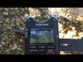 digital recorder comparison 2 olympus ls11 vs ls14 vs tascam dr40 river