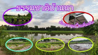 บ้านสวนหลังฝนตกหนักพบจุดต้องแก้ไข#พิราวรรณ ชาแนล#