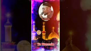 Muharram New qawwali best WhatsApp status Dj remix 2021