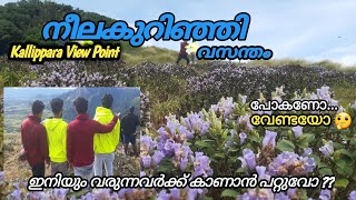 Neelakurinji At Kallippara ||കള്ളിപ്പാറയിലെ മനോഹരക്കാഴ്ച്ച ഇതാ 🤩|| Santhanpara||@adventuremalayali