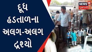 Aapnu Gujarat : દૂધ હડતાળના અલગ-અલગ દ્રશ્યો | Doodh Bandh | Milk Protest | News In Gujarati