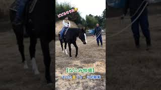 2020.12.13 そうた👱‍♂️アイ🐴に初騎乗🏇　#なごみ牧場