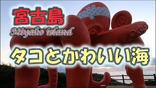 来間島　タコ公園とインガマビーチ。【宮古島】【タコ公園】【インガマ】