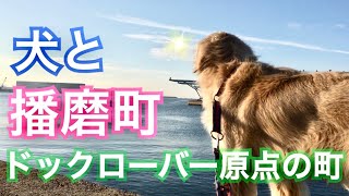 【犬と散歩 #4】兵庫県播磨町を散歩　ドックローバーの原点がここに！