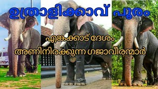 ഉത്രാളിക്കാവ് പൂരം എങ്കക്കാട് ദേശം അണിനിരക്കുന്ന ഗജവീരന്മാർ