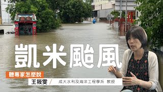 從凱米颱風災情來看什麼是殘餘風險？虛假安全感又是怎回事？｜ft.成大水利及海洋工程學系教授 王筱雯｜公視我們的島【聽專家怎麼說06】