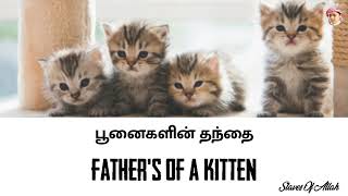 பூனைகளின் தந்தை - Father's Of A Kitten