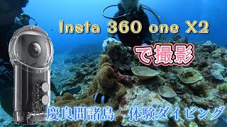 慶良間諸島　体験ダイビング　Insta 360 one X2で撮影しました。ディーズパルス沖縄さん協力