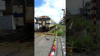 【キハ４7】 中塩屋踏切を通過します。 #shorts #JR #train