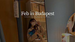 Eng) 이제야 올리는 2월 일상 vlog in Budapestㅣ이사, IKEA, 교환학생 파티(erasmus)