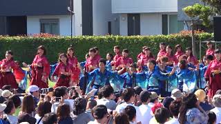 湘南よさこい2018 ～ 早稲田大学よさこいチーム東京花火