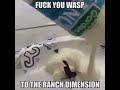 ranch dimension